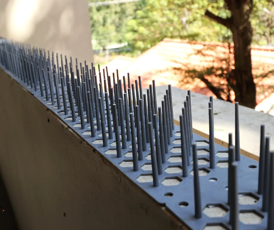 מה הם דוקרנים ליונים?