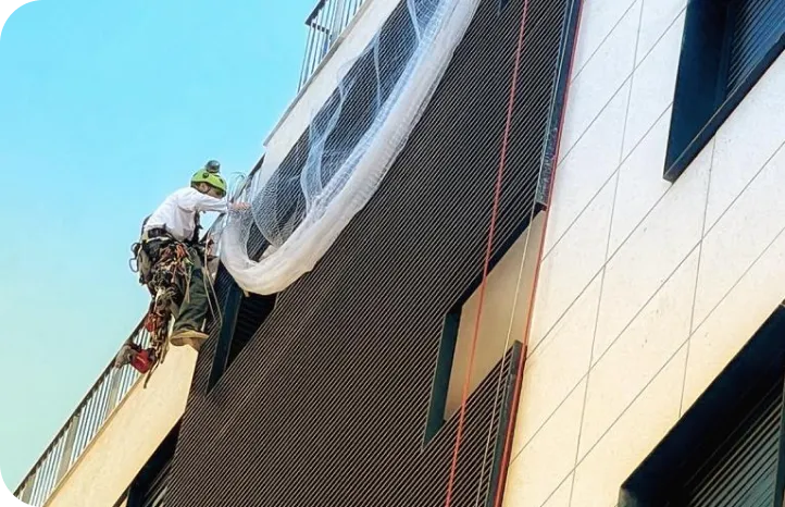 פתרון להרחקת יונים מהמרפסת